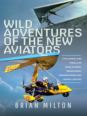 cover image of Wild Adventures of the New Aviators